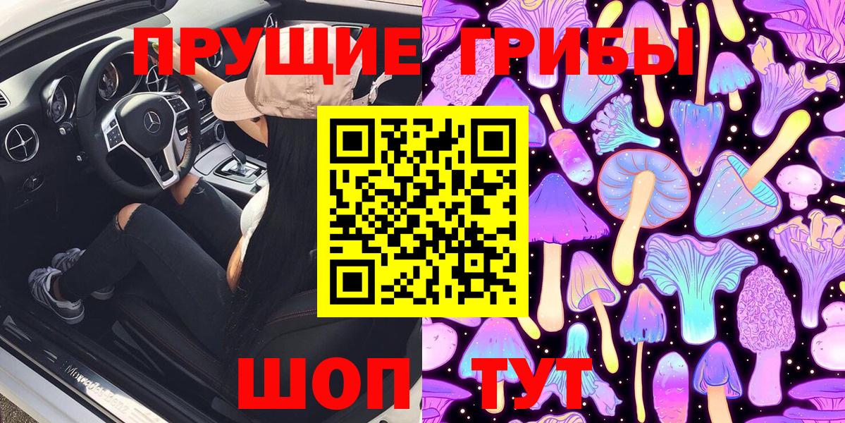 Галлюциногенные грибы Psilocybe Карабулак