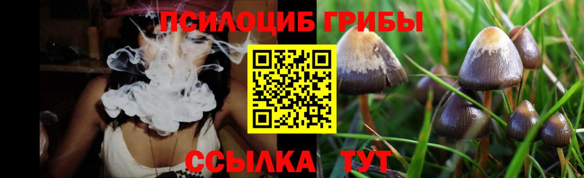 Галлюциногенные грибы GOLDEN TEACHER  Вход с VPN  Псилоцибиновые грибы GOLDEN TEACHER  Карабулак 